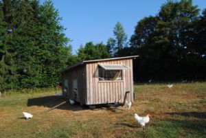 Ein Haus für Huhn und Hahn, Hänsel & Gretel, das Bruderhuhn-Projekt der Rengos